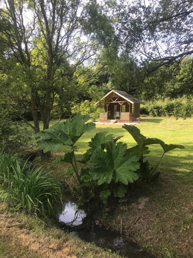 La Paix, Gite Bucolique En Normandie Condé-sur-Noireau Dış mekan fotoğraf