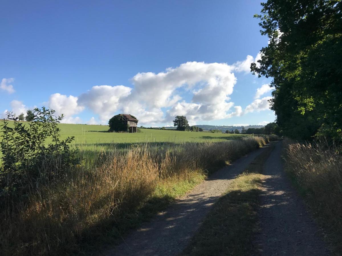 La Paix, Gite Bucolique En Normandie Condé-sur-Noireau Dış mekan fotoğraf
