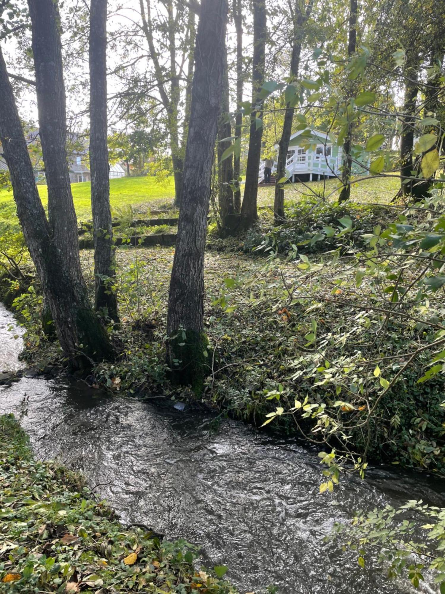 La Paix, Gite Bucolique En Normandie Condé-sur-Noireau Dış mekan fotoğraf
